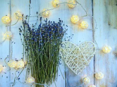 Multicolored background Stock Photos