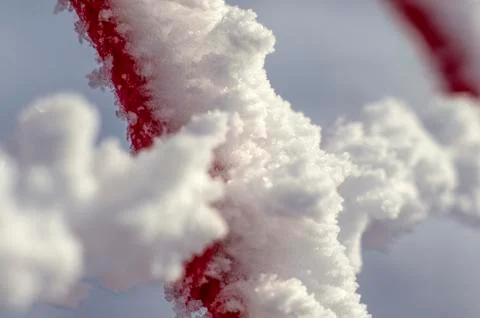 Multicolored background Stock Photos