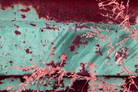 Multicolored background: rusty metal surface with blue paint flaking and crac Stock Photos