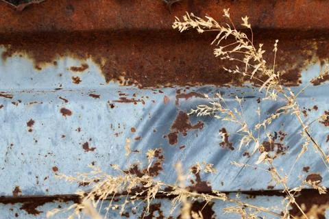 Multicolored background: rusty metal surface with blue paint flaking and crac Stock Photos