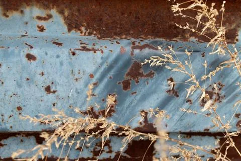 Multicolored background: rusty metal surface with blue paint flaking and crac Stock Photos