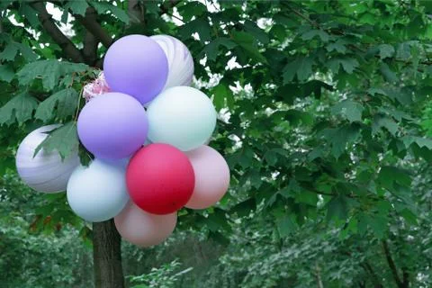 Multicolored balloons on a background of green maple leaves. Stock Photos