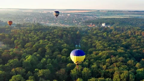 Multicolored balloons fly over fields, houses, trees. Stock Footage 167022647