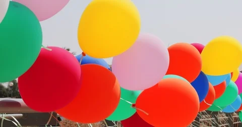 Multicolored balloons at wind Stock Footage 97499039