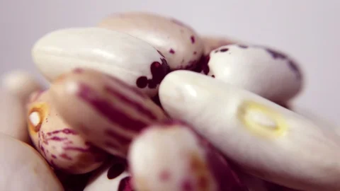 Multicolored beans in closeup, looping 360 macro video Stock Footage 125680373