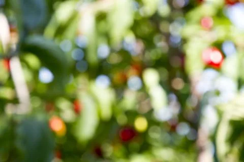 Multicolored blurred background Stock Photos