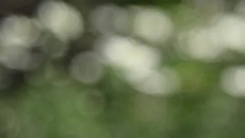 Multicolored blurred shimmering abstraction Stock-Footage 141188820