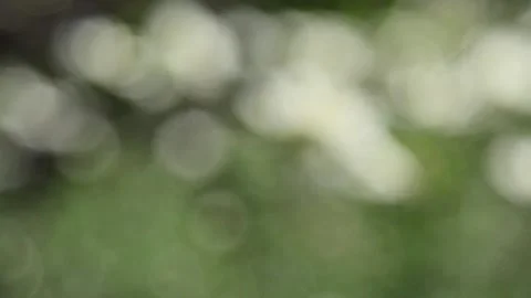 Multicolored blurred shimmering abstraction Stock-Footage 141188821