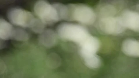 Multicolored blurred shimmering abstraction Stock-Footage 141189159