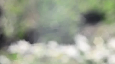 Multicolored blurred shimmering abstraction Stock-Footage 141189300