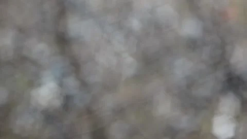 Multicolored blurred shimmering abstraction Stock-Footage 141192900
