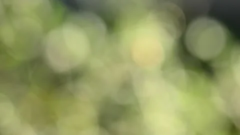Multicolored blurred shimmering abstraction Stock-Footage 141216850