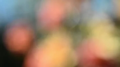 Multicolored blurred shimmering abstraction Vídeo Stock 141218606