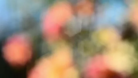 Multicolored blurred shimmering abstraction Stock-Footage 141218740