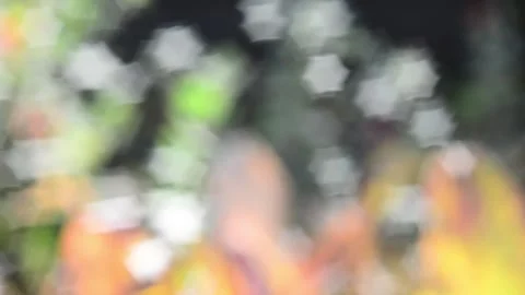 Multicolored blurred shimmering abstraction Vídeo Stock 141218827