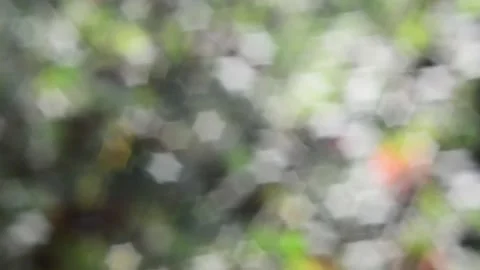 Multicolored blurred shimmering abstraction Vídeo Stock 141219082