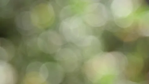 Multicolored blurred shimmering abstraction Vídeo Stock 141219310