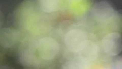 Multicolored blurred shimmering abstraction Vídeo Stock 141219327