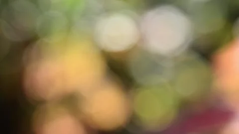Multicolored blurred shimmering abstraction Vídeo Stock 141219443