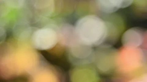 Multicolored blurred shimmering abstraction Vídeo Stock 141219546