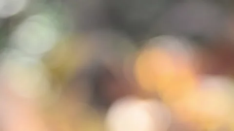 Multicolored blurred shimmering abstraction Video stock 141219920