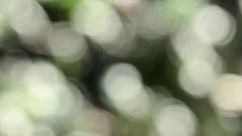 Multicolored blurred shimmering abstraction Vídeo Stock 141219924