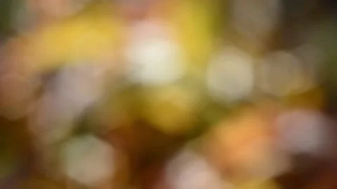Multicolored blurred shimmering abstraction Vídeo Stock 141219988