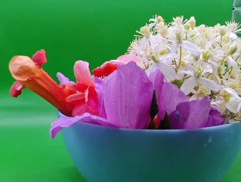 Multicolored bouquet composition Foto stock