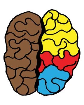 Multicolored brain, schematic drawing of a disease of the left hemisphere, .. Stock Illustration