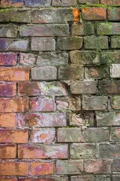 Multicolored brick wall Stock Photos