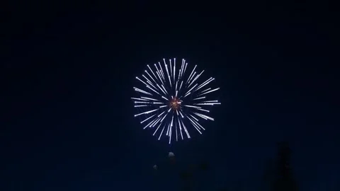 Multicolored bright fireworks sparks of silver blue and lilac color on the .. Video stock 280076232