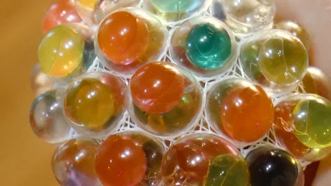 Multicolored bubbles with liquid inside Stock Footage 90775322