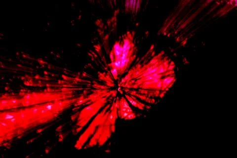 Multicolored burst of light Stock Photos