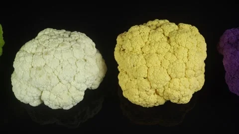 Multicolored Cabbage Varieties On Black Background. Stock Footage 312236267