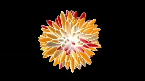 Multicolored Cell - Motion Background 28 (HD) Stock Footage 653407