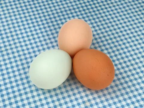 Multicolored Chicken Eggs on a Blue Checkered Tablecloth Stock Photos