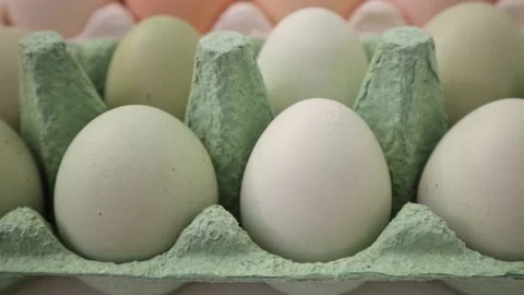 Multicolored chicken eggs in paper cells for storage and transportation. Stock Footage 202175255