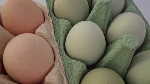 Multicolored chicken eggs in paper cells for storage and transportation. Video stock 202175262
