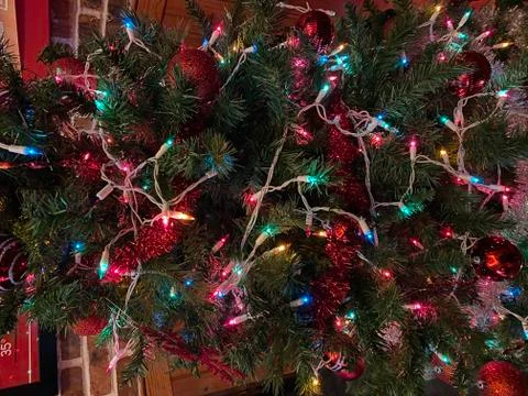 Multicolored Christmas Lights on a Tree Stock Photos