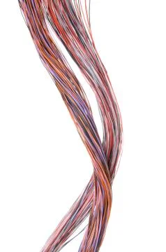 Multicolored computer network cable Stock-Fotos