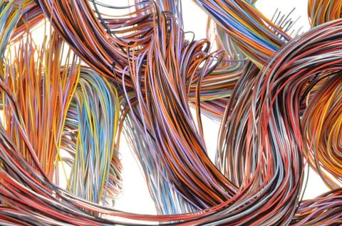 Multicolored computer network cable Stock-Fotos