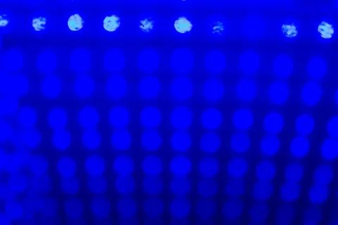 Multicolored defocused bokeh lights background Foto stock