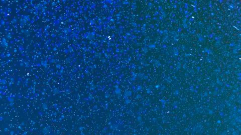 Multicolored defocused bokeh lights background - horizontal wallpaper, poster 写真素材