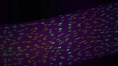 Multicolored dots on dark background. Stock Footage 335113452