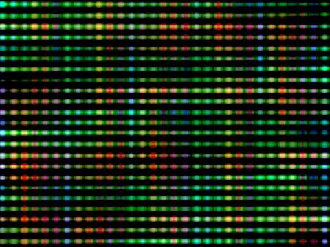 Multicolored dots line pattern for graphic design background. Stock Illustration