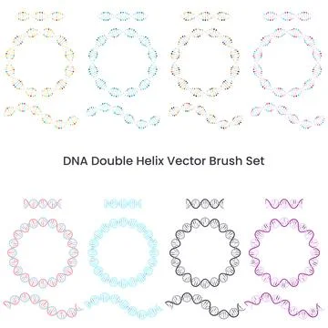 Multicolored double helix vector brush set graphic design elements Illustrazione stock