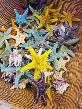 Multicolored dried starfish with decorative pattern Stock Photos