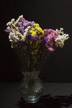 Multicolored dry flowers in a vase on a black background Foto stock