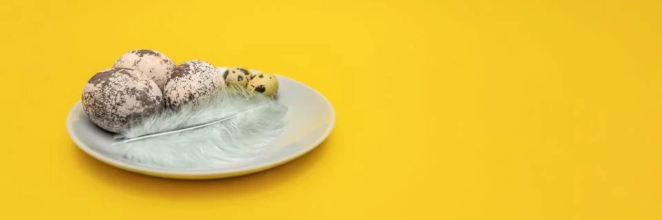 Multicolored easter eggs and feathers close-up, in a plate on a yellow backgr Stock Photos