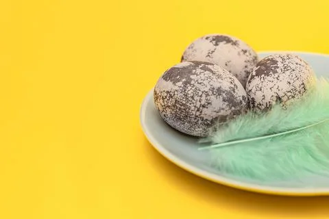 Multicolored easter eggs and feathers close-up, in a plate on a yellow backgr Stock Photos